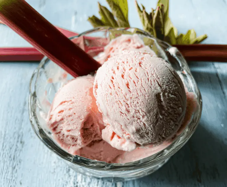 Easy Homemade Rhubarb Ice Cream Recipe