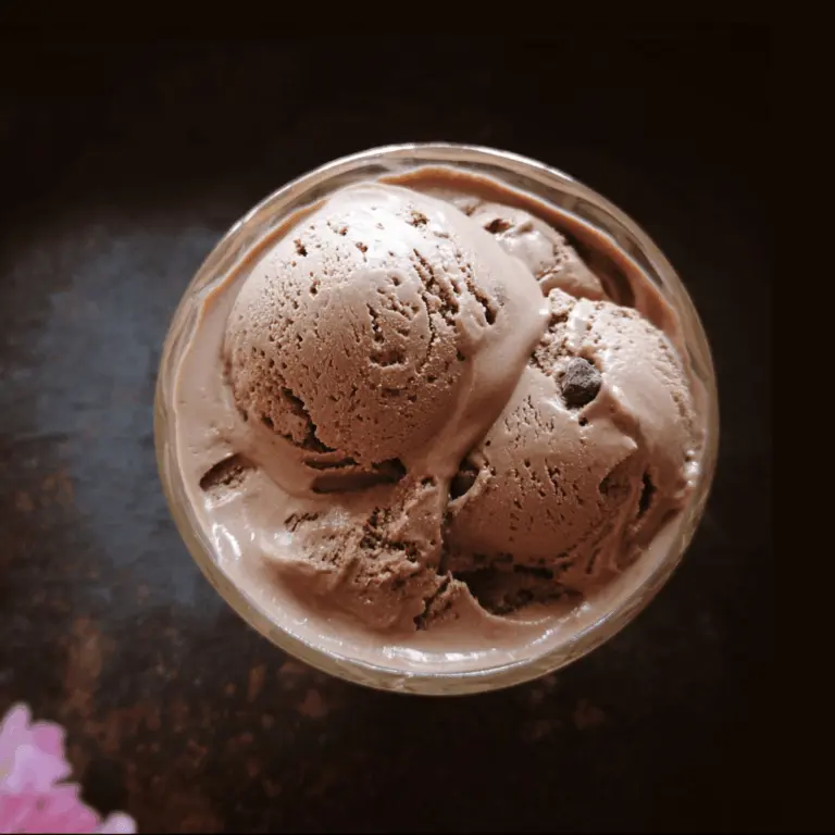 Easy Homemade Chocolate Custard Ice Cream Recipe